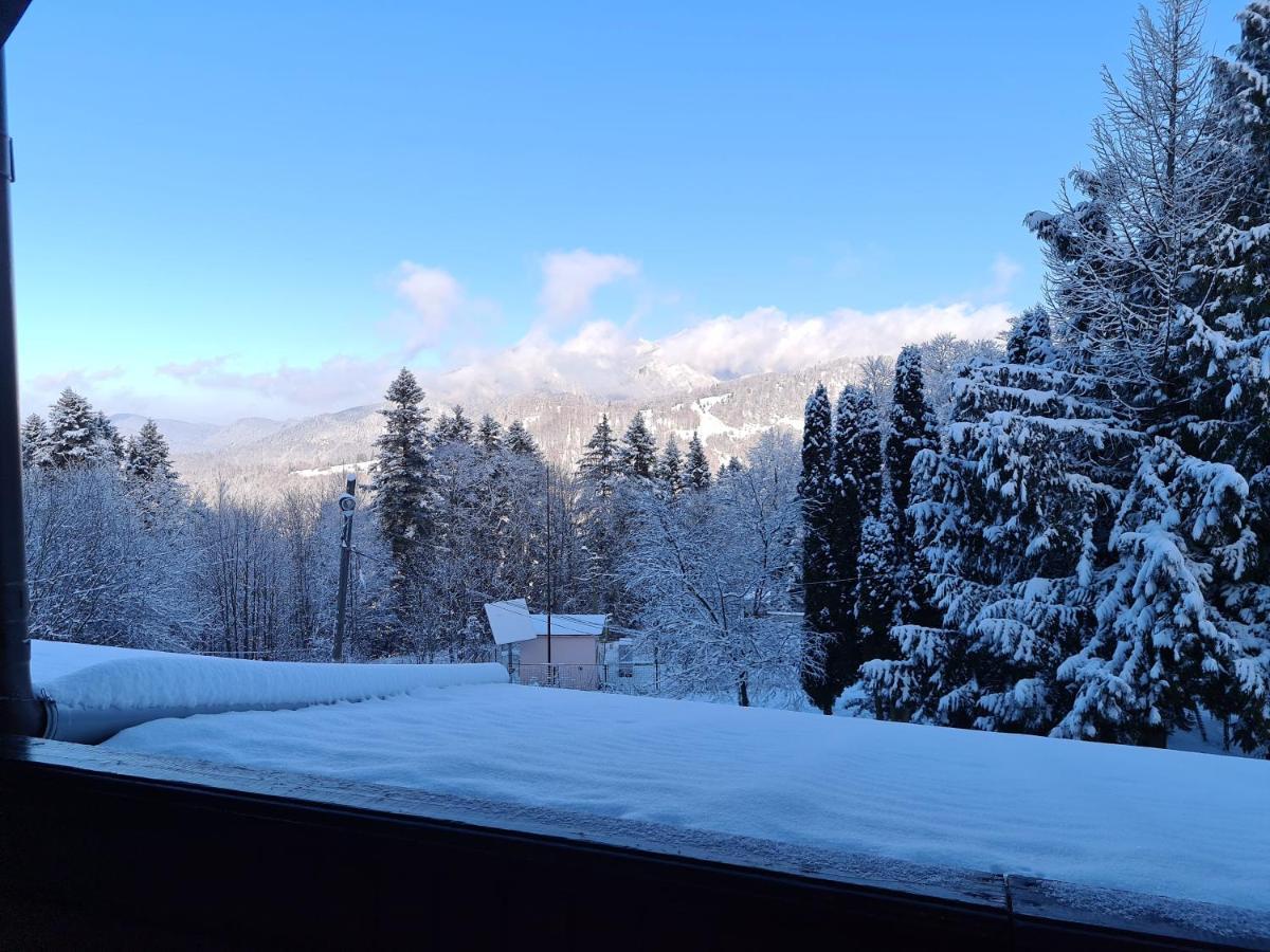 Hotel Bucegi Portile Regatului Pârâul Rece Bagian luar foto