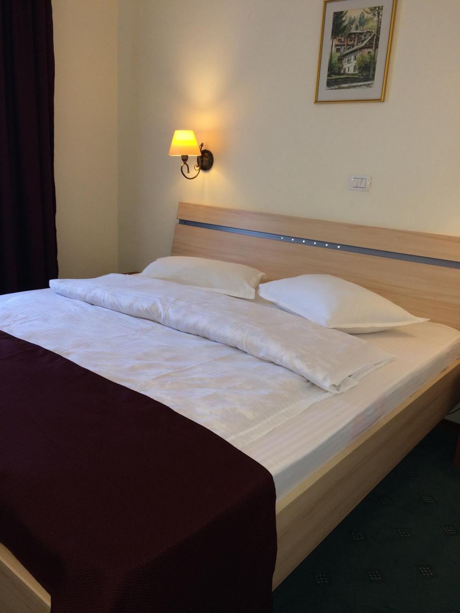 Hotel Bucegi Portile Regatului Pârâul Rece Ruang foto